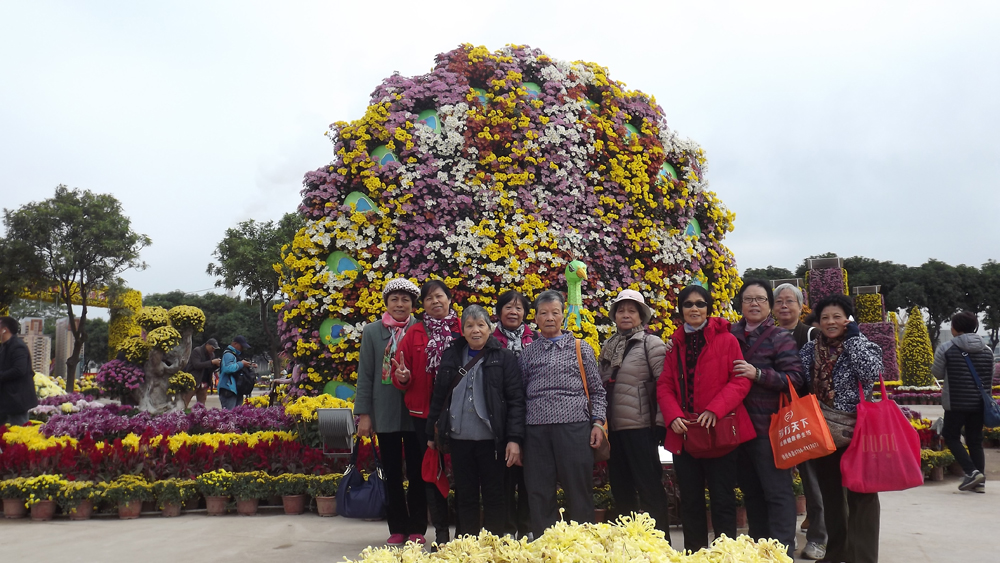 健步走，乐趣多